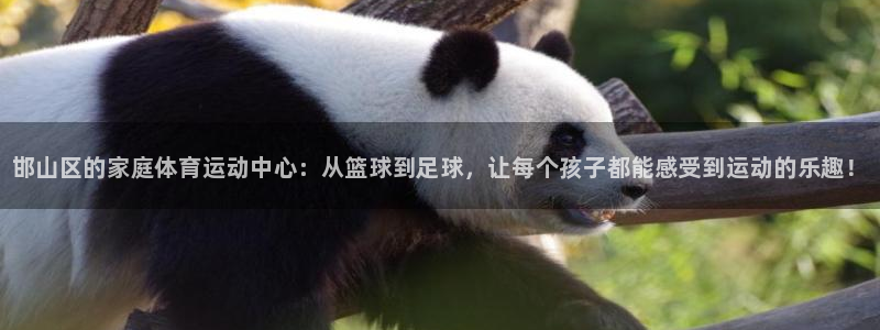 一竞技官方正版app集团E.ON:邯山区的家庭体育运动中心: