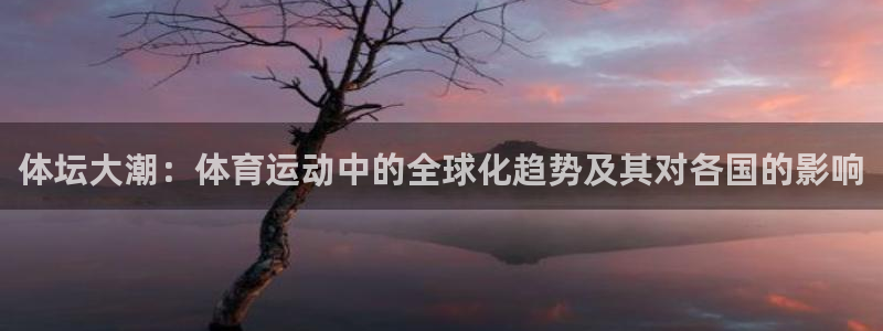 一竞技官网下载平台假的吗是真的吗:体坛大潮:体育运动中的全球