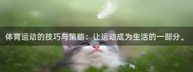 一竞技官方正版app集团:体育运动的技巧与策略:让运动成为生
