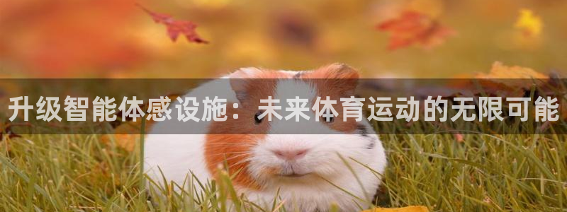 一竞技官网下载平台注册要钱吗是真的吗:升级智能体感设施:未来